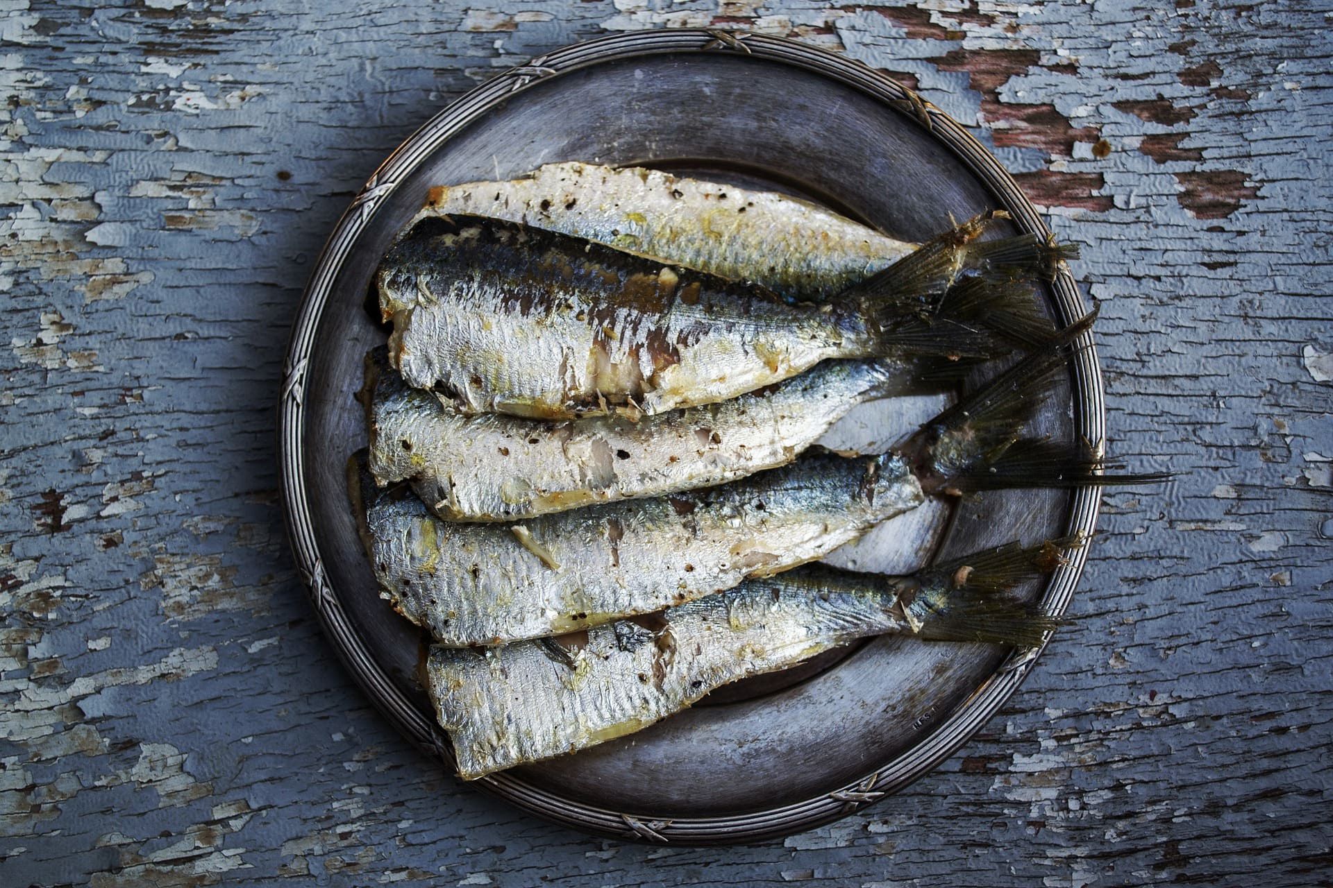 sardinas-alimentación